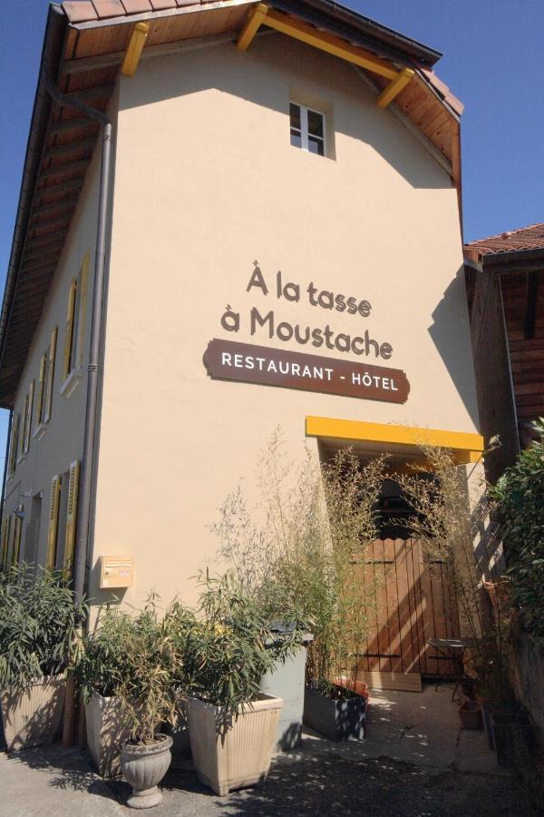 Hotel A La Tasse A Moustache Thonon-les-Bains Zewnętrze zdjęcie